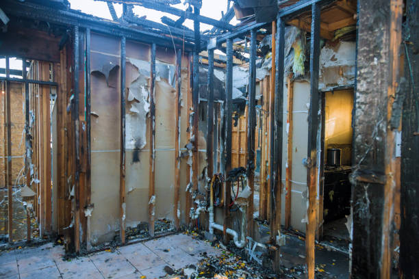 Professional Fire Damage Removal technician working in South Hill, WA